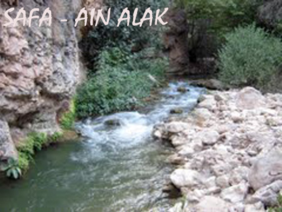 photo_two